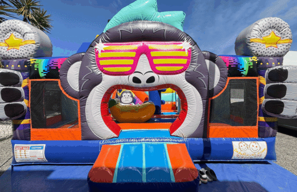 Macaco DJ